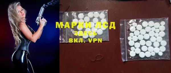 PSILOCYBIN Волосово