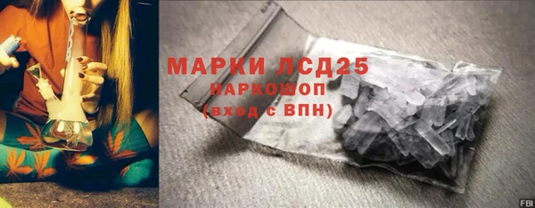 PSILOCYBIN Волосово