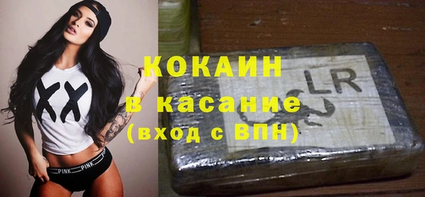 PSILOCYBIN Волосово