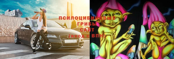PSILOCYBIN Волосово