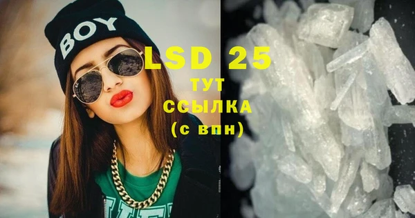 PSILOCYBIN Волосово