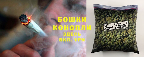 эйфоретик Вяземский